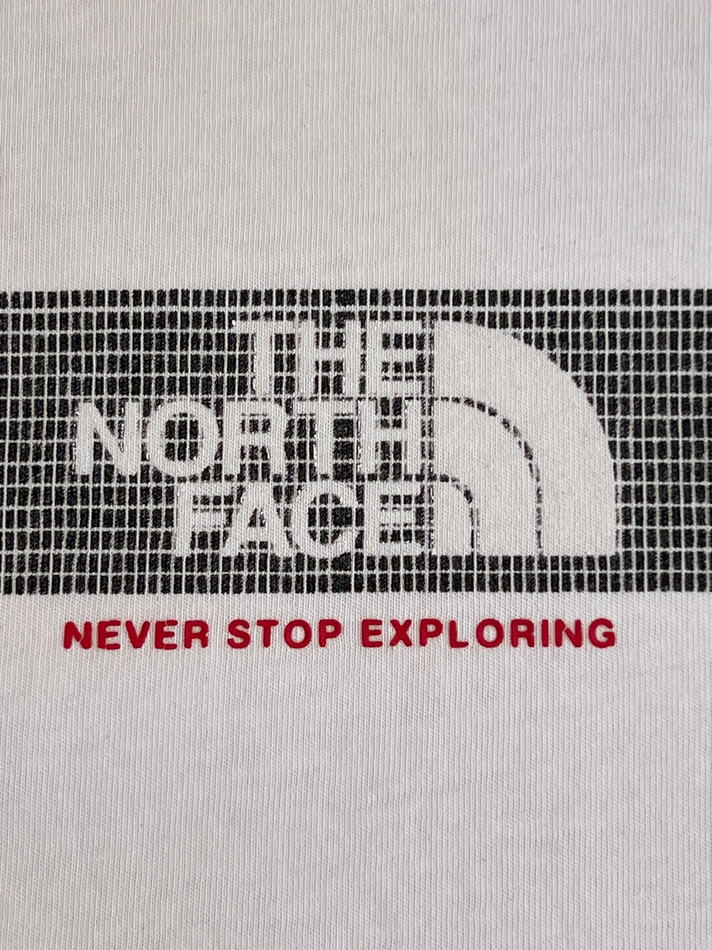 The North Face T-shirt White Big Logo Chest